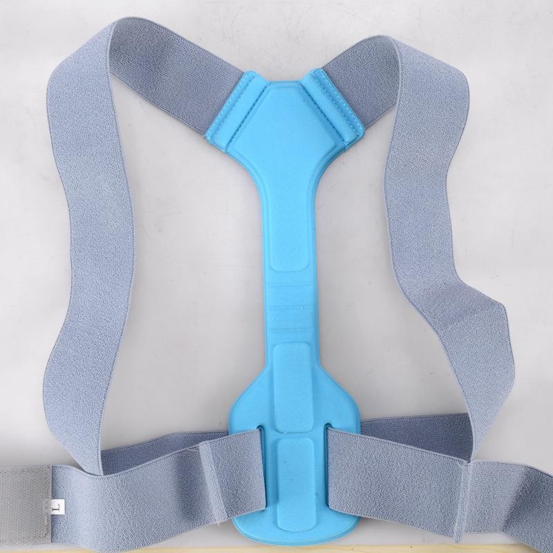 B017 Sangle postural